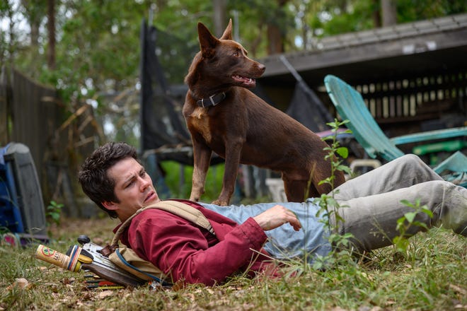 Joel (Dylan O'Brien) and his canine friend Boy deal with gigantic critters in "Love and Monsters."