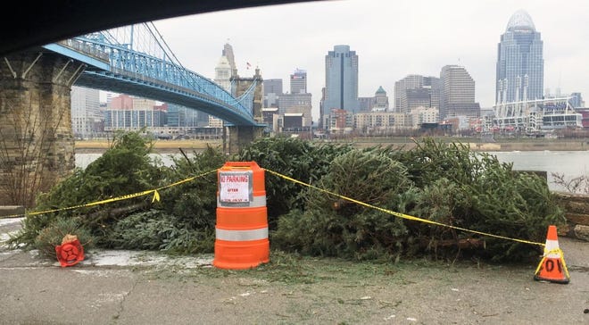 Covington Christmas tree drop-off