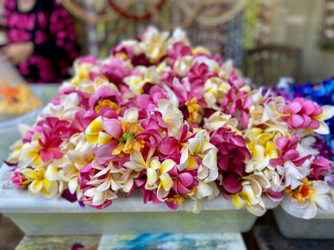 Lei made out of plumeria, which is one of the most popular — and fragrant — flowers in Hawaii.