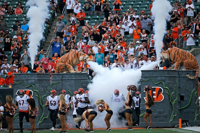 The Cincinnati Bengals take the field before the first quarter of the NFL Preseason Week 3 game between the Cincinnati Bengals and the Miami Dolphins at Paul Brown Stadium in downtown Cincinnati on Sunday, Aug. 29, 2021. 