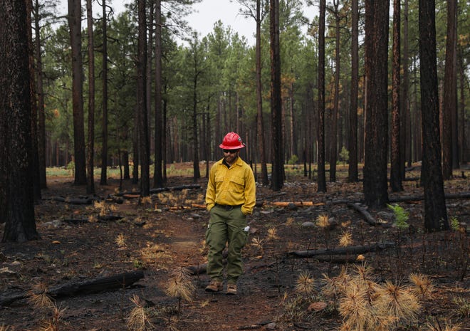 Justin Gabler, the fire management officer for the Alpine Ranger District, walks across the burn scar of the 2021 Horton Complex Fire.
